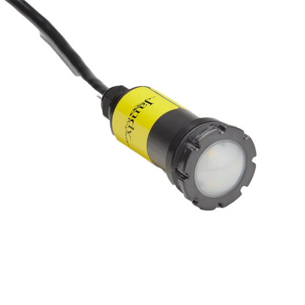 Jandy Nicheless LED Light, RGBW Watercolors with HydroCool Technology | 12V 6W 100' Cord