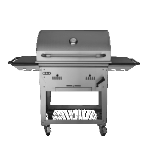 Bison Premium Charcoal Cart