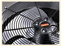 raypak heat pump fan